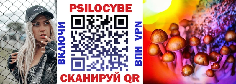 МЕГА онион  Полярный  Галлюциногенные грибы MAGIC MUSHROOMS  дарнет шоп 