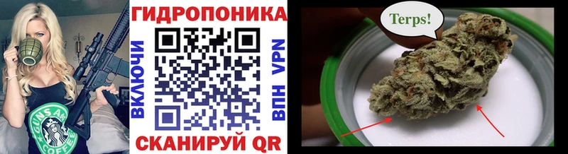 Конопля марихуана Полярный